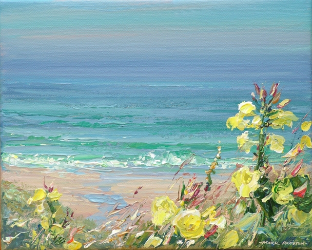 Mark Preston - evening primroses, sennen cove